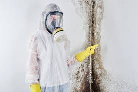 Best Mold Removal for HVAC Installations  in Bloomington, TX